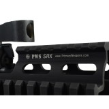 RIS PWS per SCAR