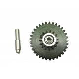 Ingranaggio Centrale Cuscinettato XTC