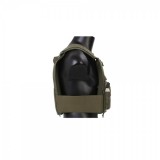 Blue Label Tactical Vest 419 Ranger Green (EMB7376 EMERSON)