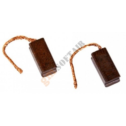 Coppia di Spazzole per Motore