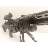 AR MUR Custom Carbine Platinum Version (EL-A146 E&L) (Custom)