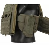 Blue Label Plate Carrier CPC Style Ranger Green (EMB7400 EMERSON)