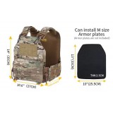 Blue Label LVAC Assault Carrier Coyote Brown (EMB7404CB EMERSON)