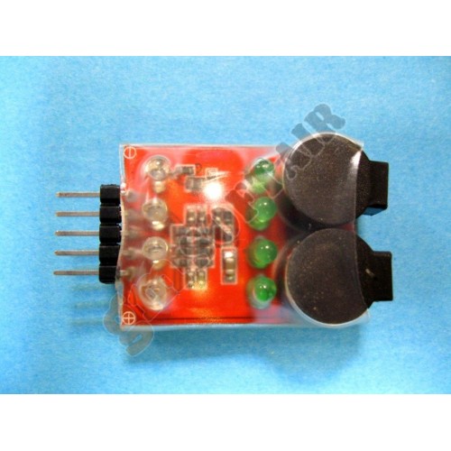 Avvisatore Acustico/Led Batteria Scarica (ACTION BATTERIES)