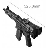 MCP 556 (EGC-MCP-556-BNB-NCM G&G)